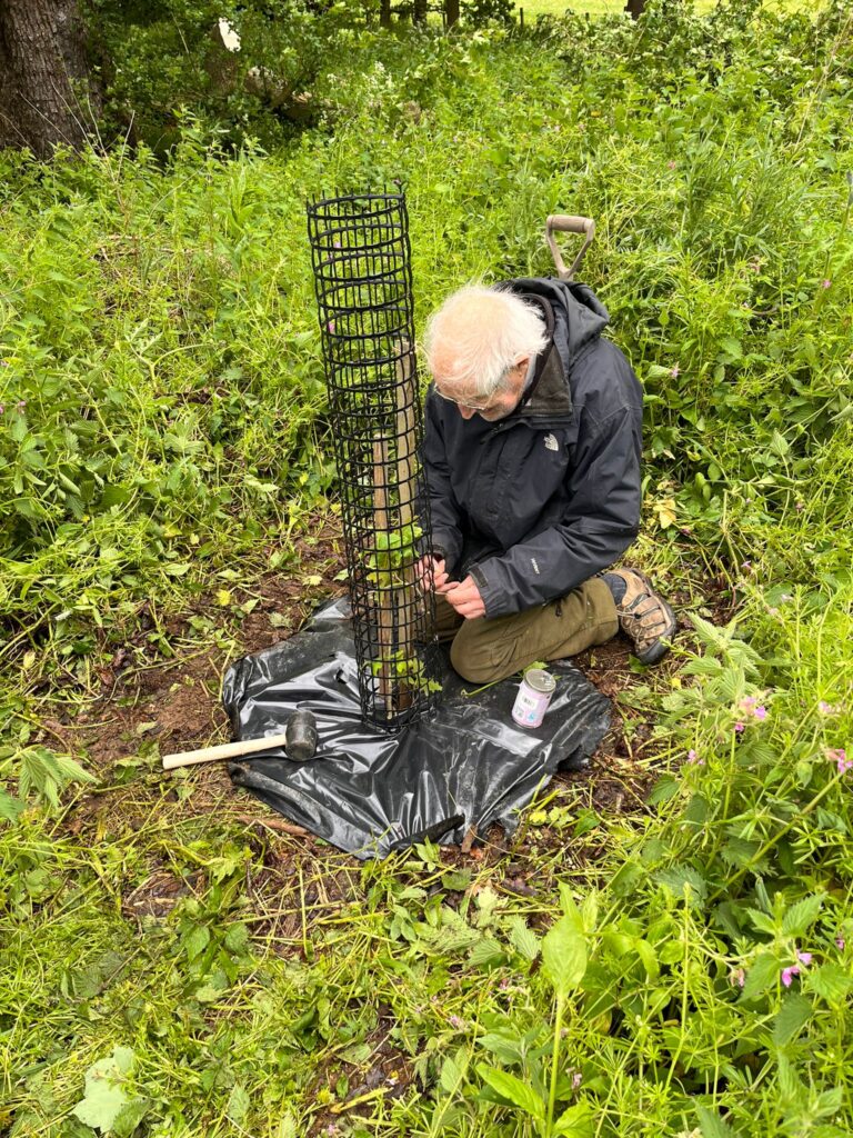 'Ulrich, planter of trees': a photo taken by his grandson Micha Cooper, who planted this tree with him at end of last year.
